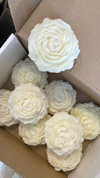 Elegant flower