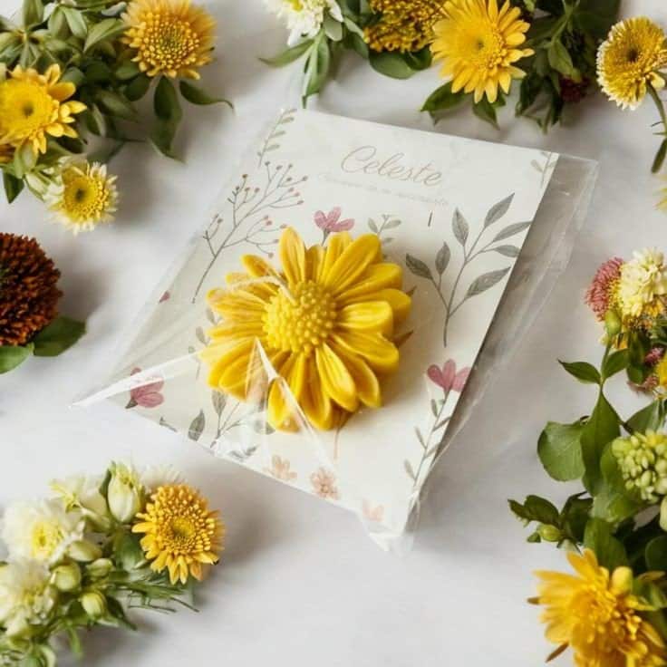 sun flower with card