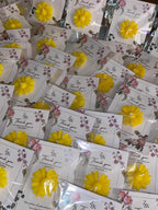 sun flower with card